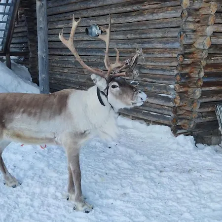 Leviloma - 27m2 A - Levistar - Levistar דירה לוי