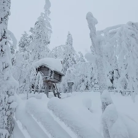 Leviloma - 27m2 A - Levistar - Levistar アパート