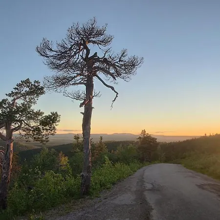 Leviloma - 27m2 A - Levistar - Levistar Daire *