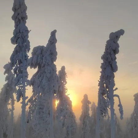 Leviloma - 27m2 A - Levistar - Levistar דירה *