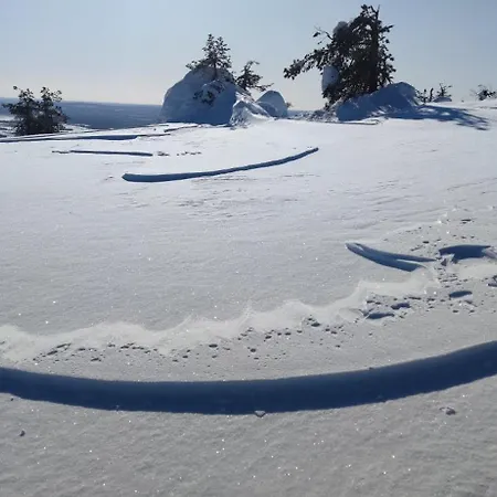 Leviloma - 27m2 A - Levistar - Levistar *