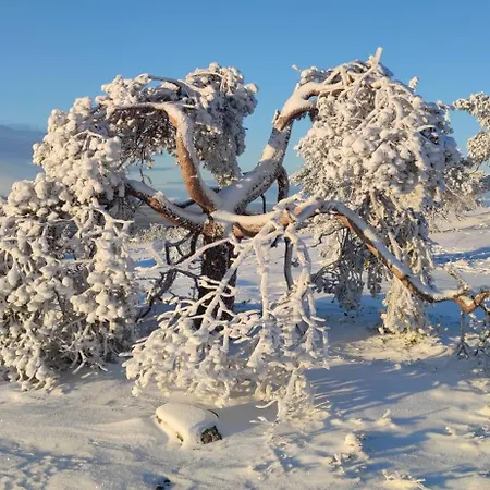 アパート Leviloma - 27m2 A - Levistar - Levistar