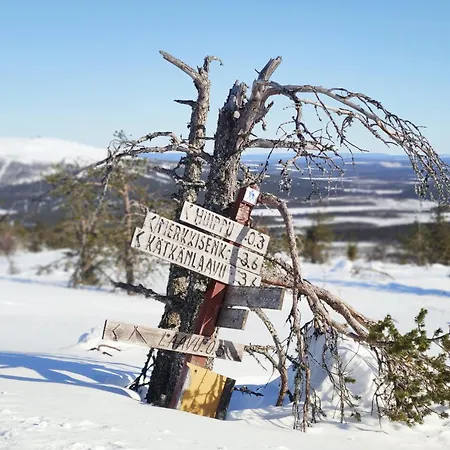 Leviloma - 27m2 A - Levistar - Levistar *