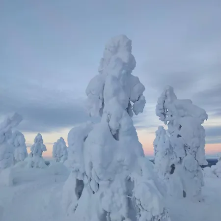 Leviloma - 27m2 A - Levistar - Levistar דירה *