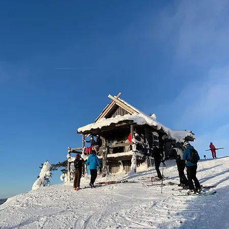 アパート Leviloma - 27m2 A - Levistar - Levistar