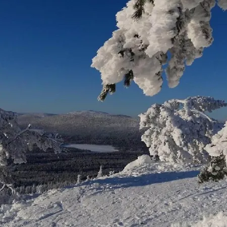 דירה Leviloma - 27m2 A - Levistar - Levistar לוי